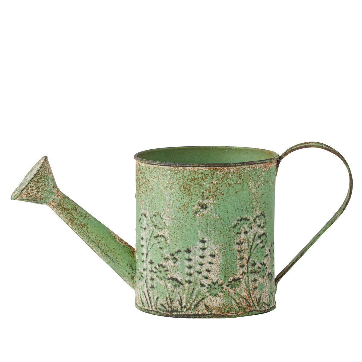 Green Decorative Watering Can