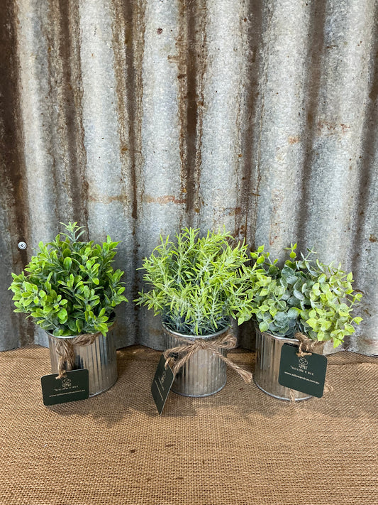 Rustic Metal Tins with Greenery