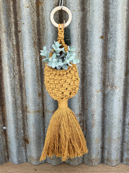 Macrame Plant Pod