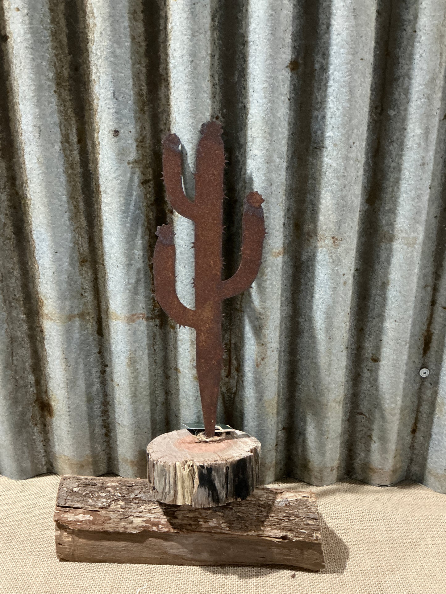 Rustic Cactus