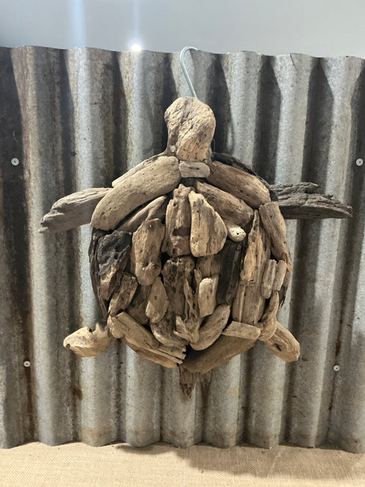 Driftwood Turtle