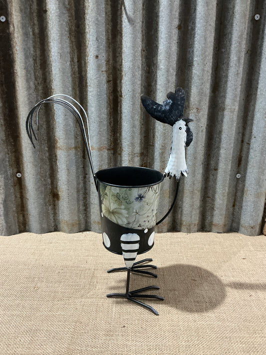 Black & White Polka Dot Chook Planter