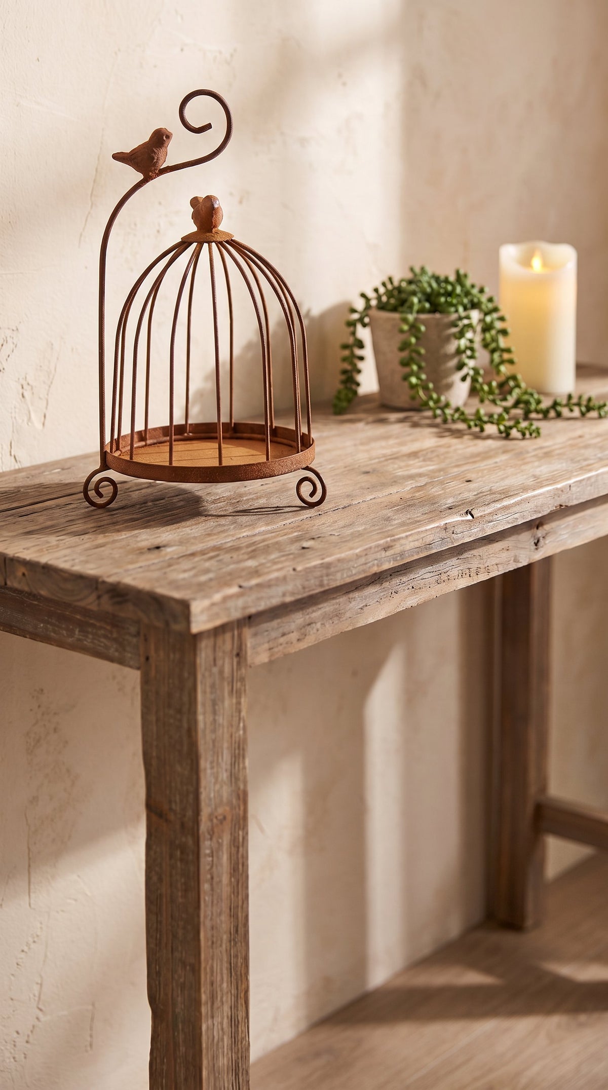 Rusty Metal Birdcage