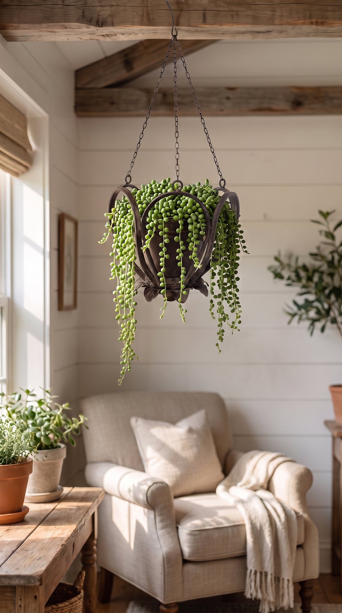 Small Metal Hanging Planter