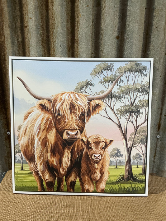 Highland Cow Cavas Print