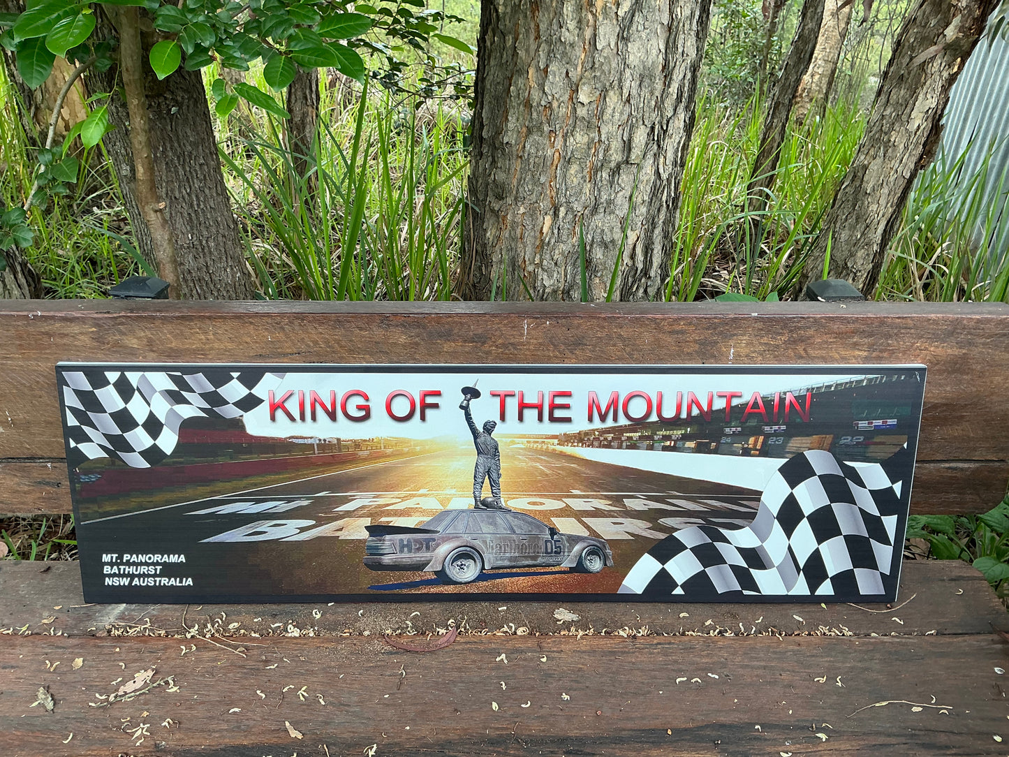 King Of The Mountain Tin Sign