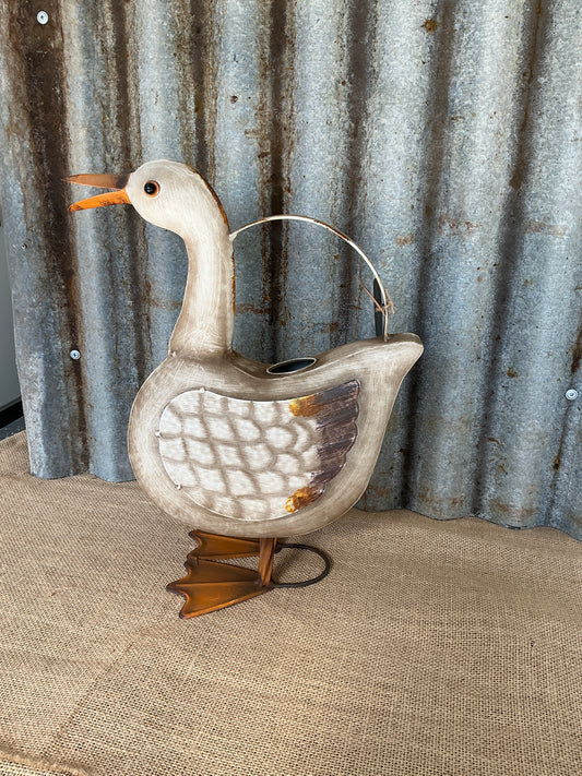 Duck Watering Can