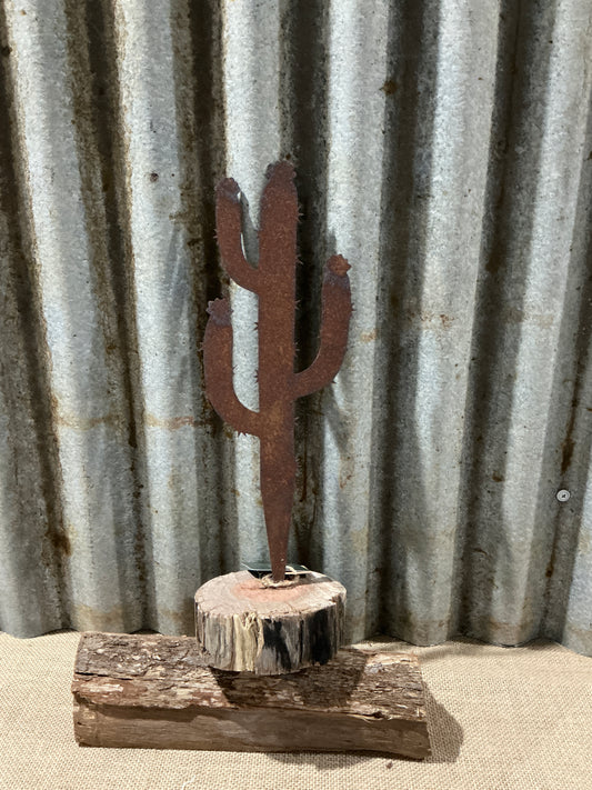 Rustic Cactus