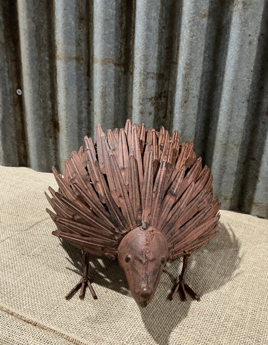 Rusty Echidna