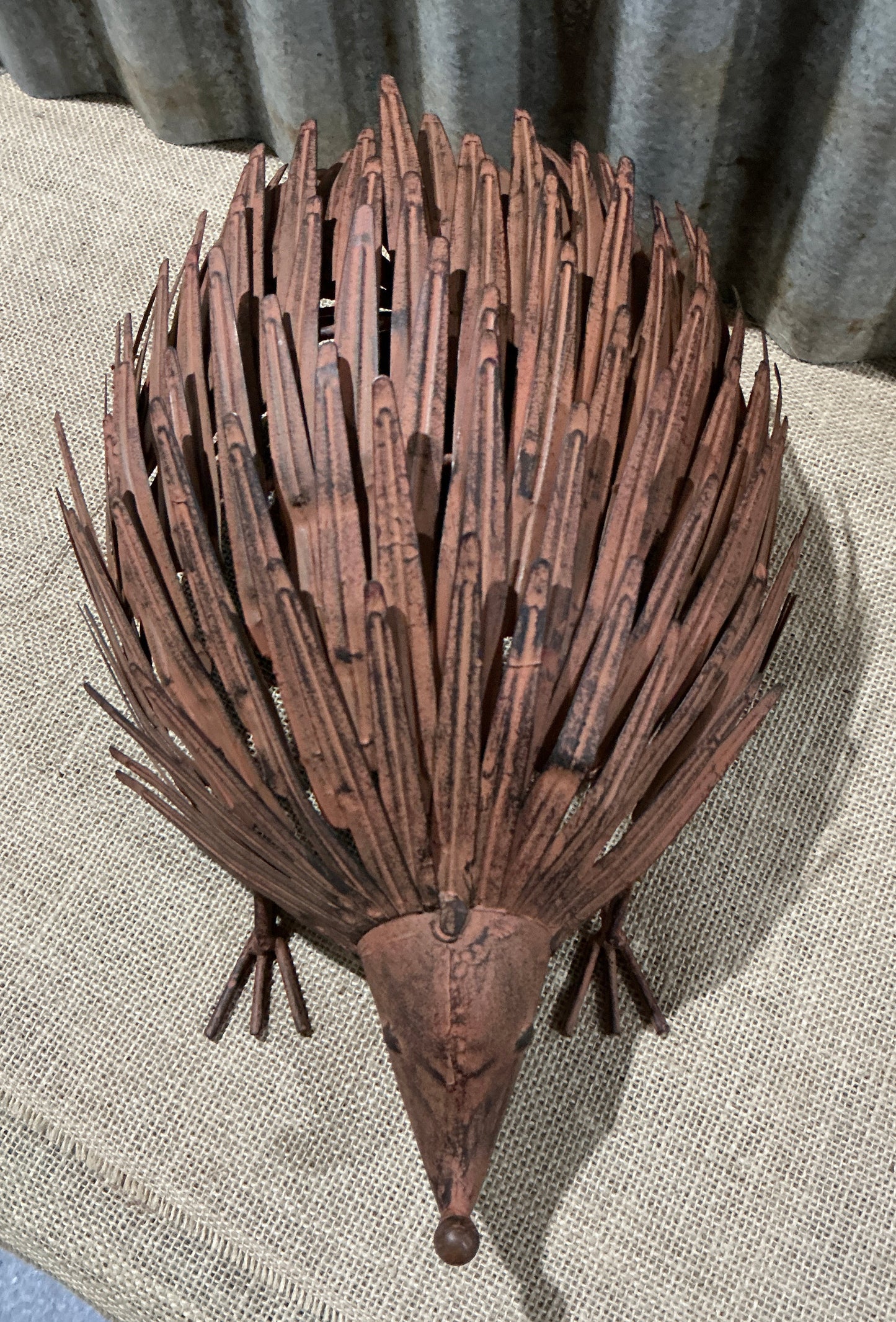 Rusty Echidna