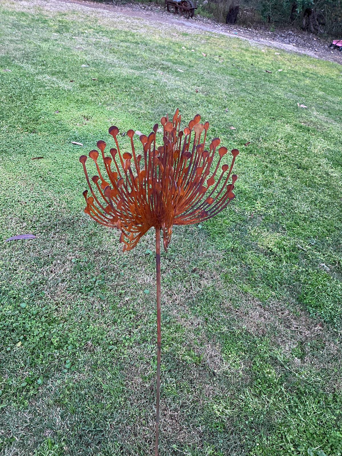Flower Stake Rust