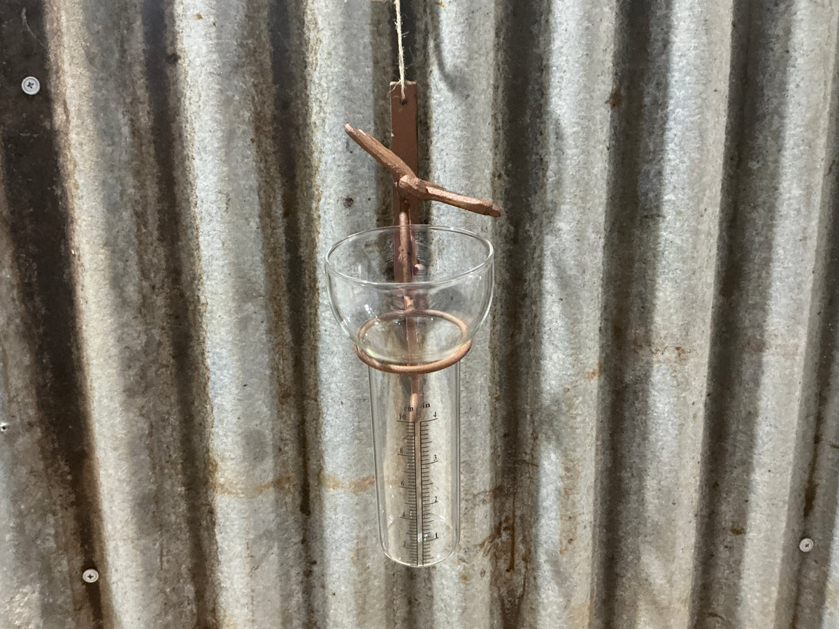 Dragonfly Rain Gauge