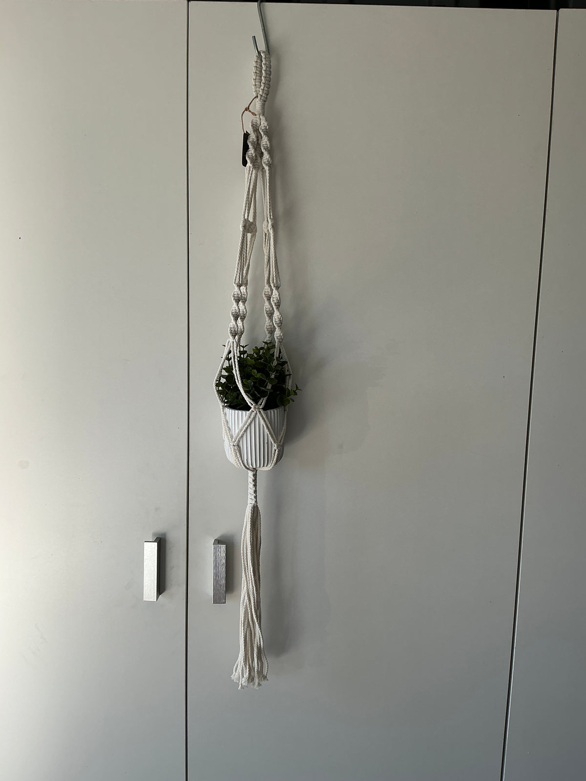 Macrame Plant Hanger